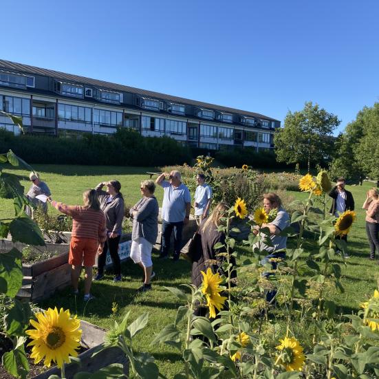 Billede fra Grønneparken i Aalborg Øst