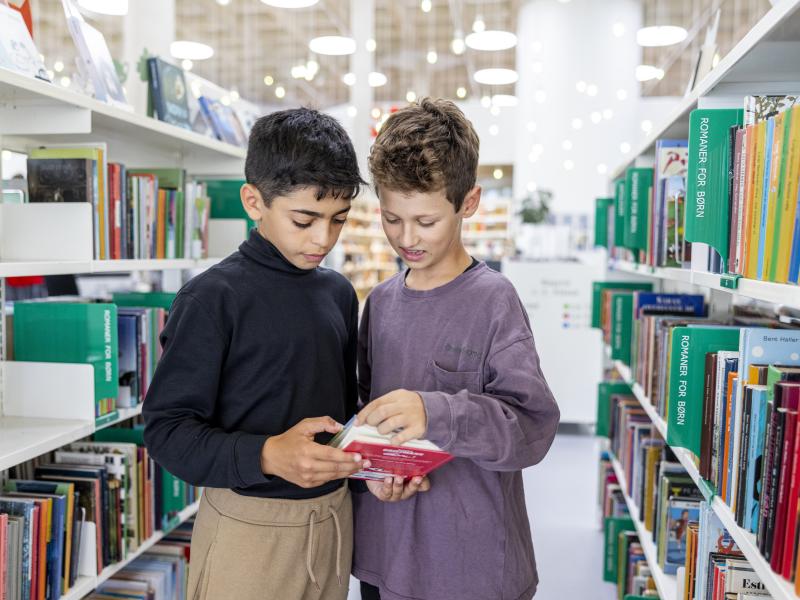 To drenge står blandt bogreoler og kigger i den samme bog
